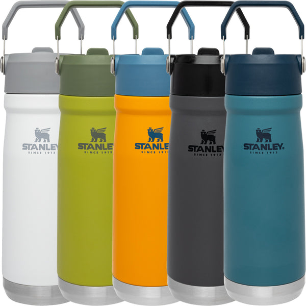 Stanley Flip Straw Water Bottle 22oz - DezineCorp